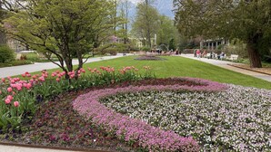Un parque con un jardín de flores, bancos y una fuente.