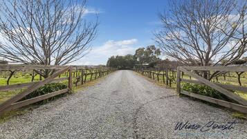 A gravel pathway flanked by wooden fences leading to a vineyard.