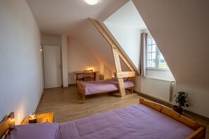 4 bedrooms, free WiFi - Pavillon du Château le Moulin Neuf (Saint-Nicolas-de-Bourgueil)