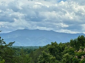 Un paysage montagneux avec une forêt dense au premier plan et une chaîne de montagnes à l’arrière-plan, sous un ciel nuageux.