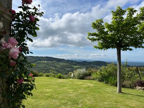 A grassy landscape with a tree and a view of distant hills. - Villa 'Le Sughere' with Sea View, Pool, Terrace and Wi-Fi (Riparbella)