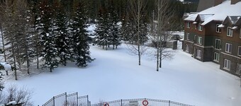 Call to the Wild in Canmore!