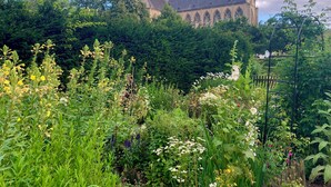 A historic church with a tall spire, surrounded by lush greenery and various flowering plants.