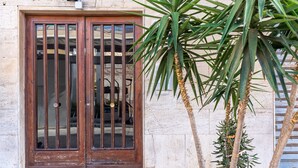 Une porte en bois avec des panneaux de verre, un mur en pierre et un palmier devant.