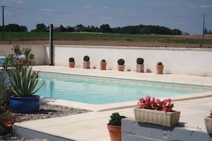 A swimming pool with a white wall and potted plants.