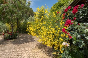 Un vialetto di giardino circondato da vegetazione, con fiori gialli e rossi.