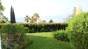 A well-maintained garden with various plants and a hedge in the foreground.