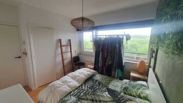 1 slaapkamer, een bureau, een strijkplank/strijkijzer, gratis wifi