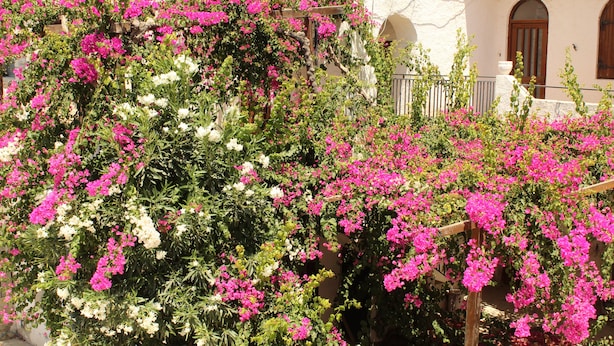 A building with a white facade and arched windows. - Dimokritos Apartment Pitsidia (Pitsidia)