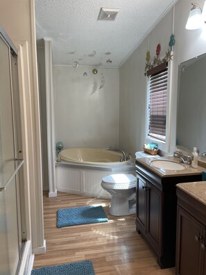 Combined shower/tub, hair dryer, towels, toilet paper