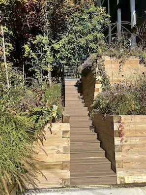 Ascend through lush greenery and flowering plants to a serene atmosphere.