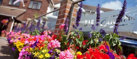 A vibrant flower bed in front of a building with a sign that reads "BAR CAREN".