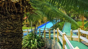 Un espace piscine avec un toboggan bleu, des palmiers et une clôture blanche.