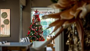 A Christmas tree decorated with ornaments and a star, positioned near a window with a view of greenery outside. - Platamon Centrale (Dio-Olympos)