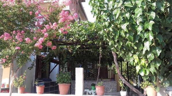 A building with a covered porch, potted plants, and a tree with pink flowers.
