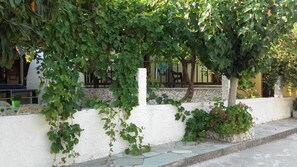 A white wall with a stone base, a small planter with pink flowers, and a vine-covered trellis.