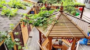 Un kiosque en bois doté d’un toit incliné, entouré d’un jardin où poussent différentes plantes et des plantes grimpantes.