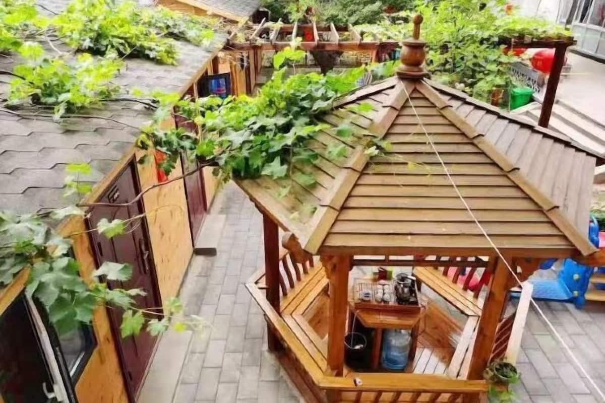 Un kiosque en bois doté d’un toit incliné, entouré d’un jardin où poussent différentes plantes et des plantes grimpantes.
