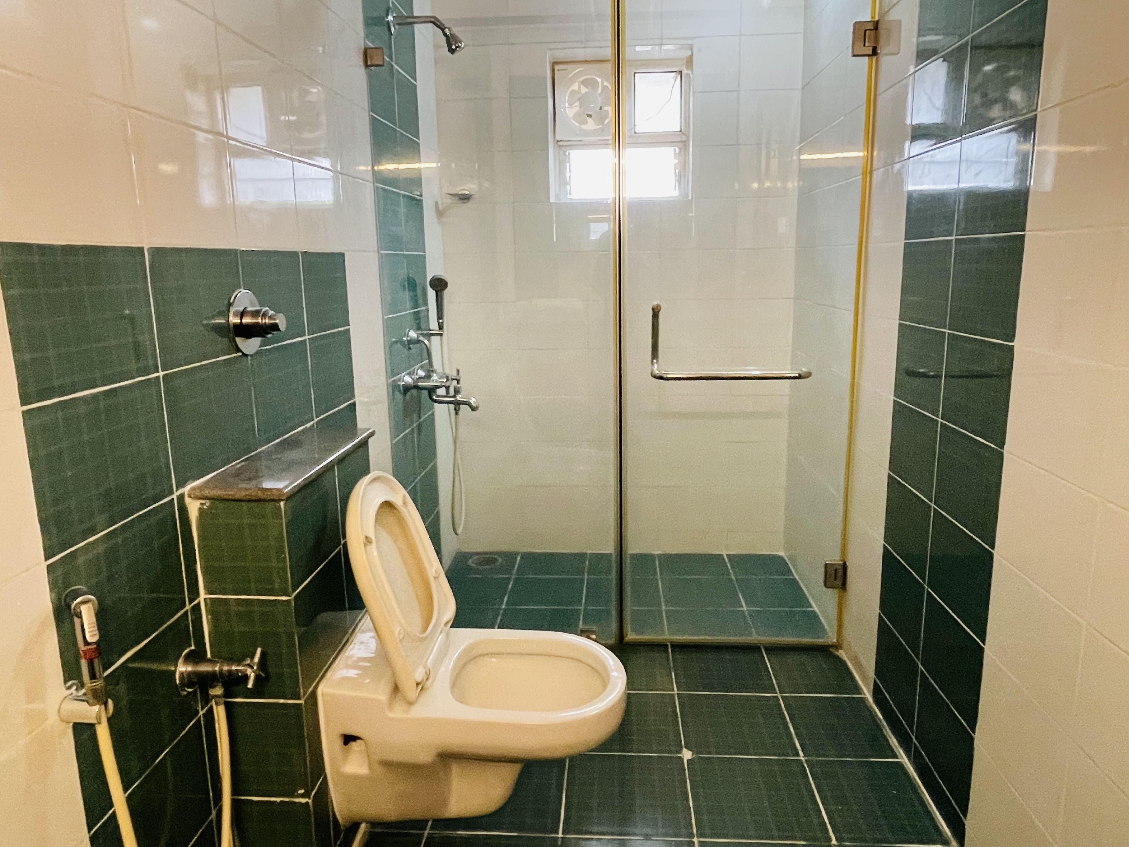 A bathroom with a toilet, a shower, and a glass door.