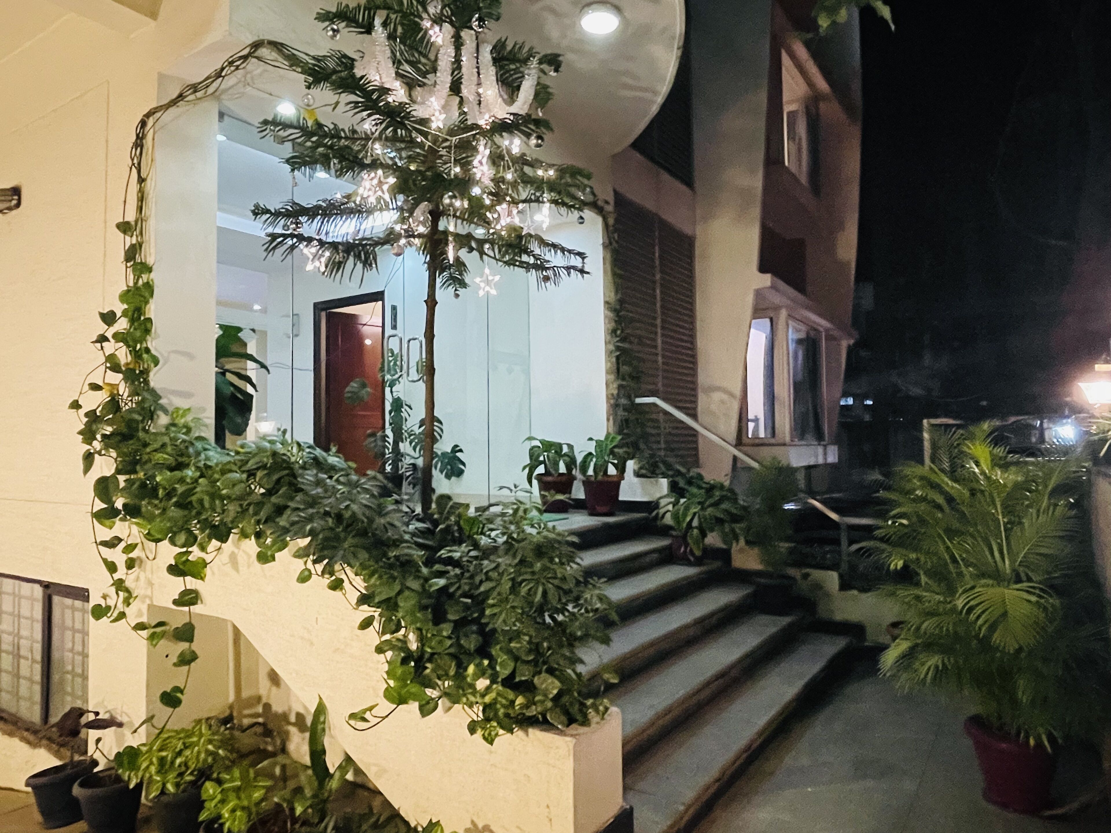 A building entrance with a staircase, potted plants, and a Christmas tree.