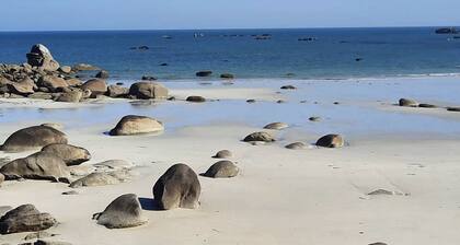 Luxury villa 4**** in Kerlouan, sea and beach 80m away, quiet,heated indoor pool