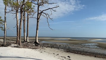 Playa en los alrededores y camastros