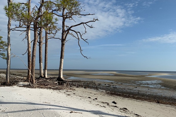 Beach nearby, sun loungers