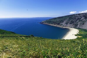 Beach - Apartment with amazing Sea Views from Balcony. Pets go free! (Pendine)