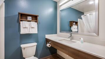 A bathroom with a toilet, a sink, a mirror, and a towel rack.