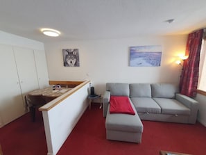 A compact living space with a kitchenette, a grey sofa, a red blanket, and two wall-mounted paintings.