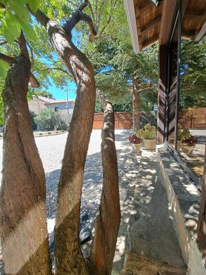 传统独立别墅 | 花园景观