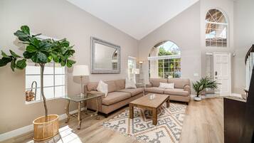 Smart TV, fireplace, books, computer monitors