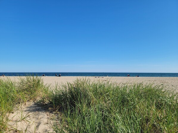 A beach with sand and tall grass in the foreground, and the ocean in the background.