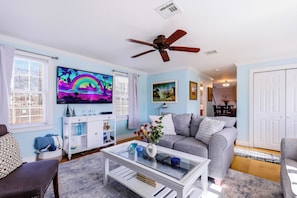 Smart TV, fireplace, books