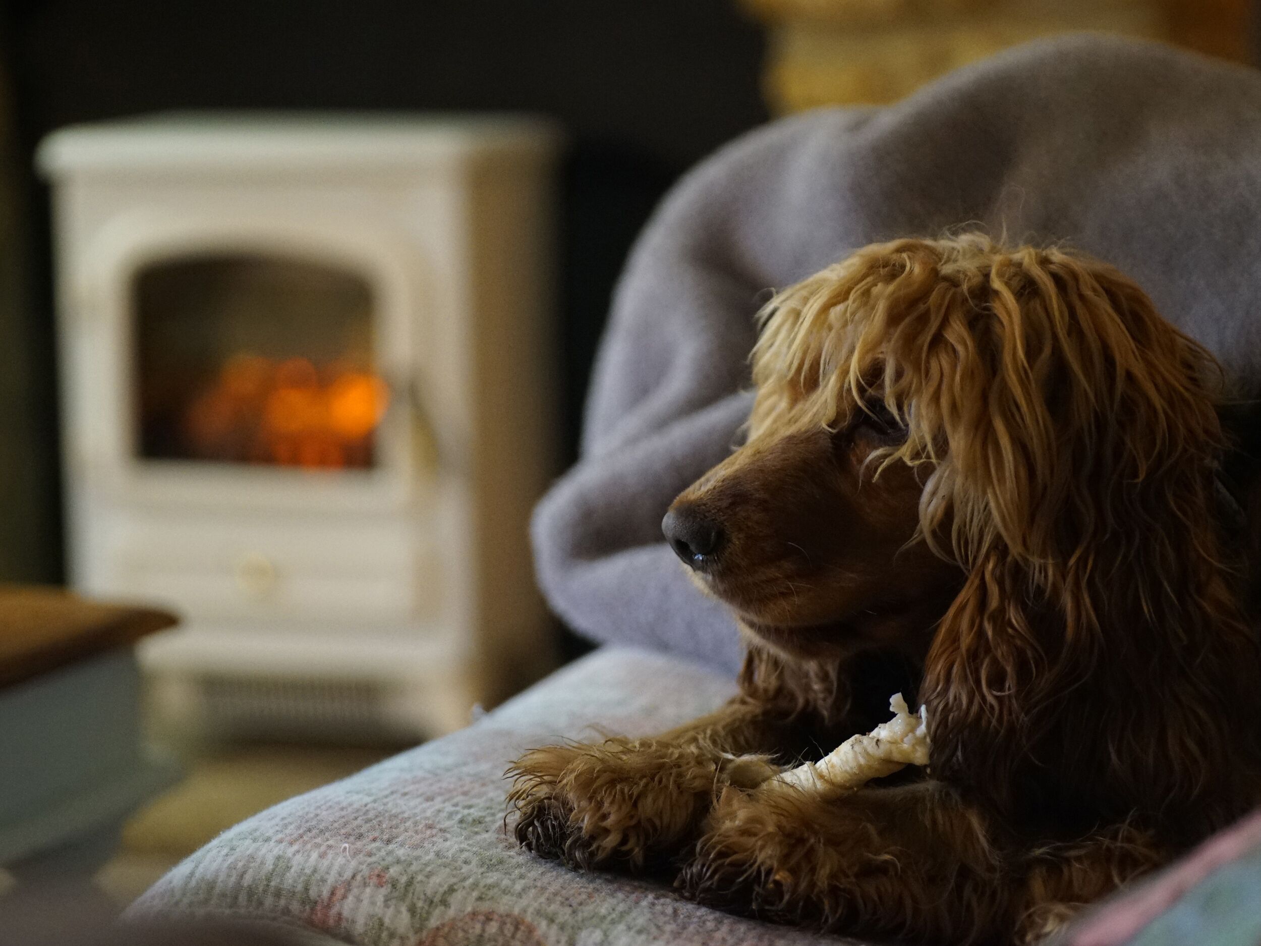 A dog lying on a couch with a fireplace in the background.