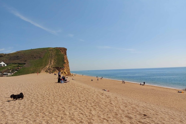 Cottage | Beach