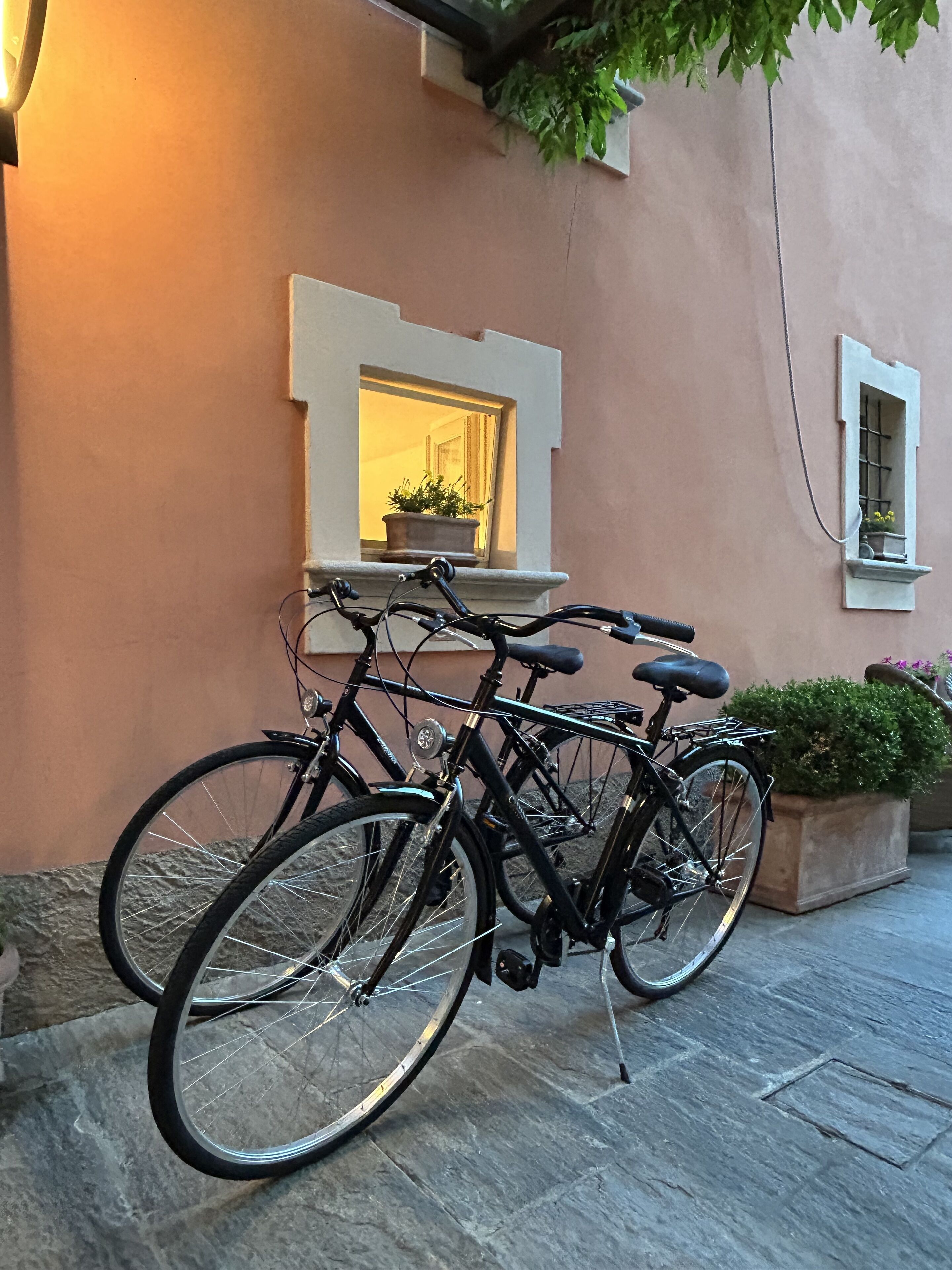 A bicycle parked outside a building with a window and a potted plant.