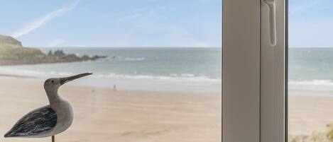 A bird on a window sill overlooking a beach.