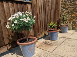 Casa de campo | Interior