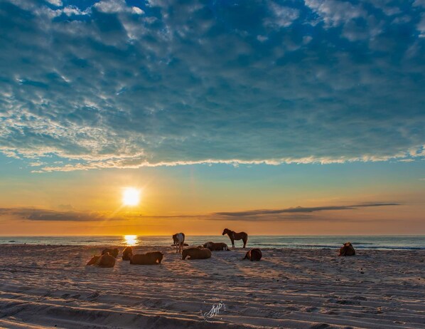 Beach nearby - Sand & Surf @ 9 Stonemeadow OCEAN PINES (Berlin)