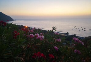 Vue sur la plage/l’océan