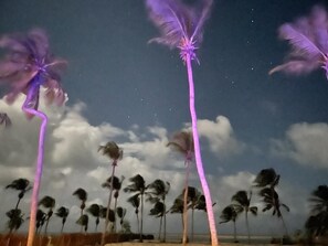 Details aan de binnenkant