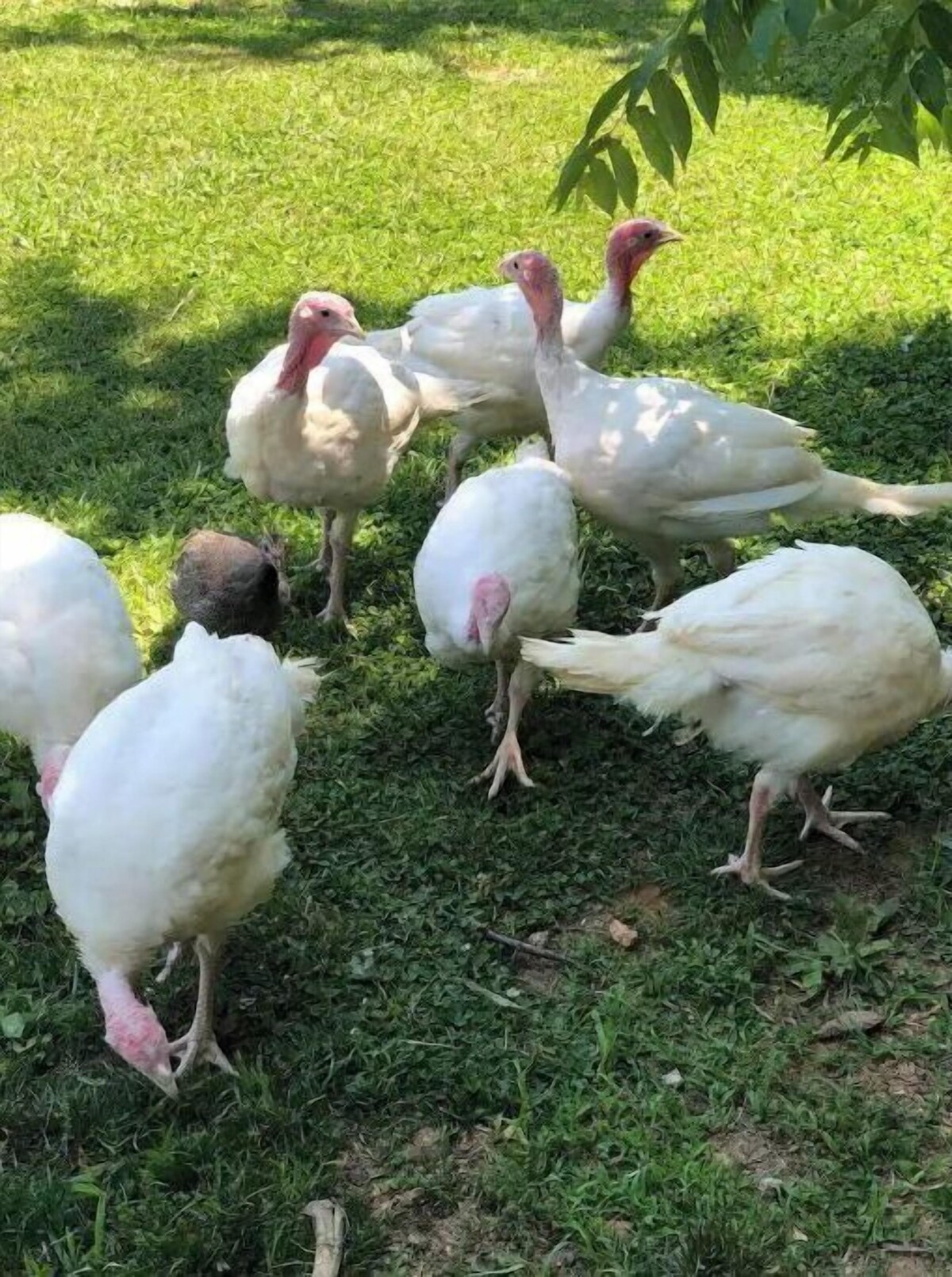 Image de profil de l’hôte