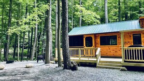 Une cabane en bois, surmontée d’un toit en métal, entourée d’une forêt.