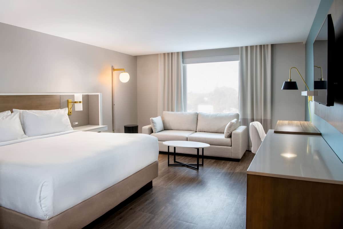 Una habitación de hotel moderna con una cama grande, un sofá, una mesita y un escritorio.