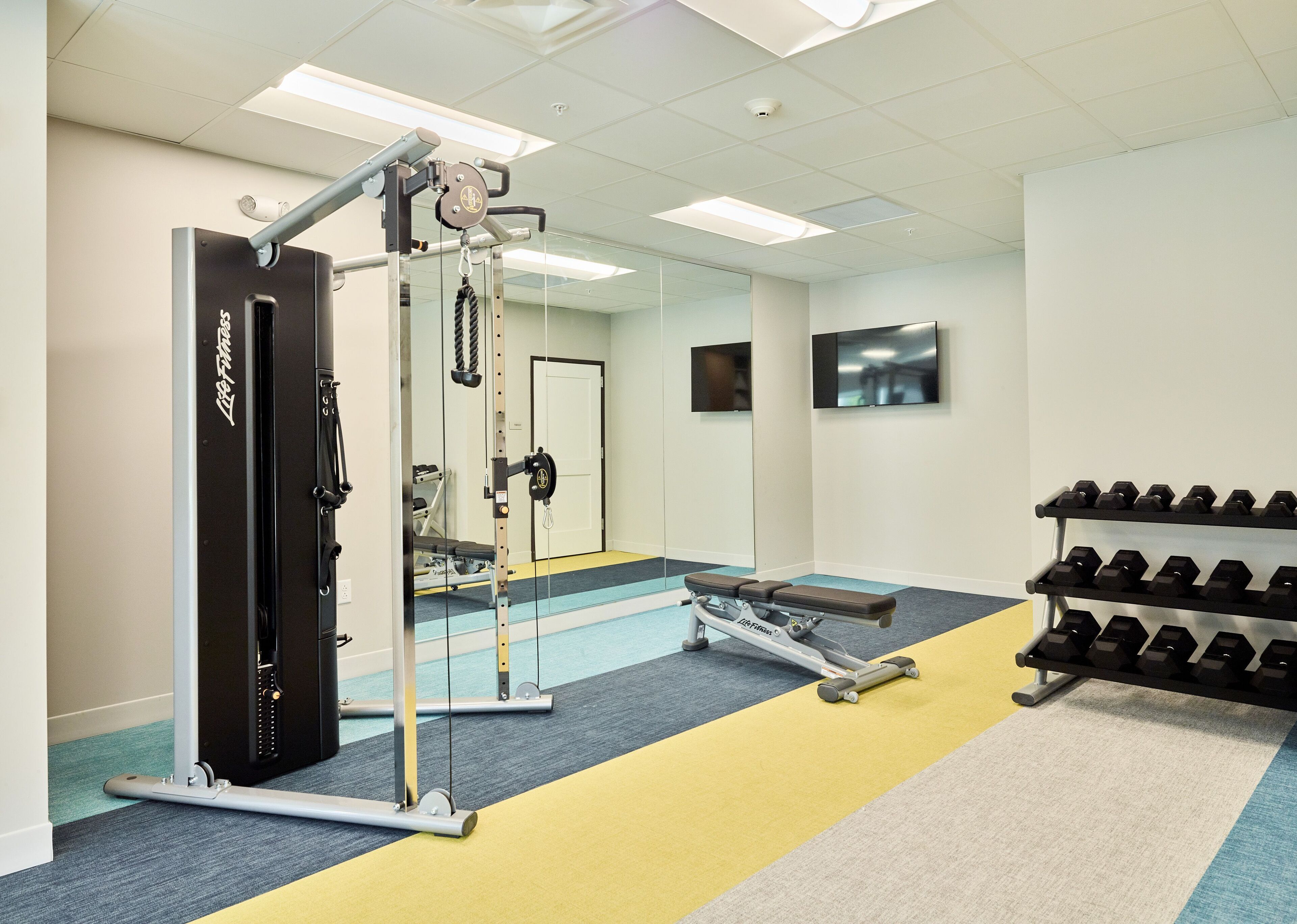 A gym with a weight bench, a squat rack, and a rack of dumbbells.
