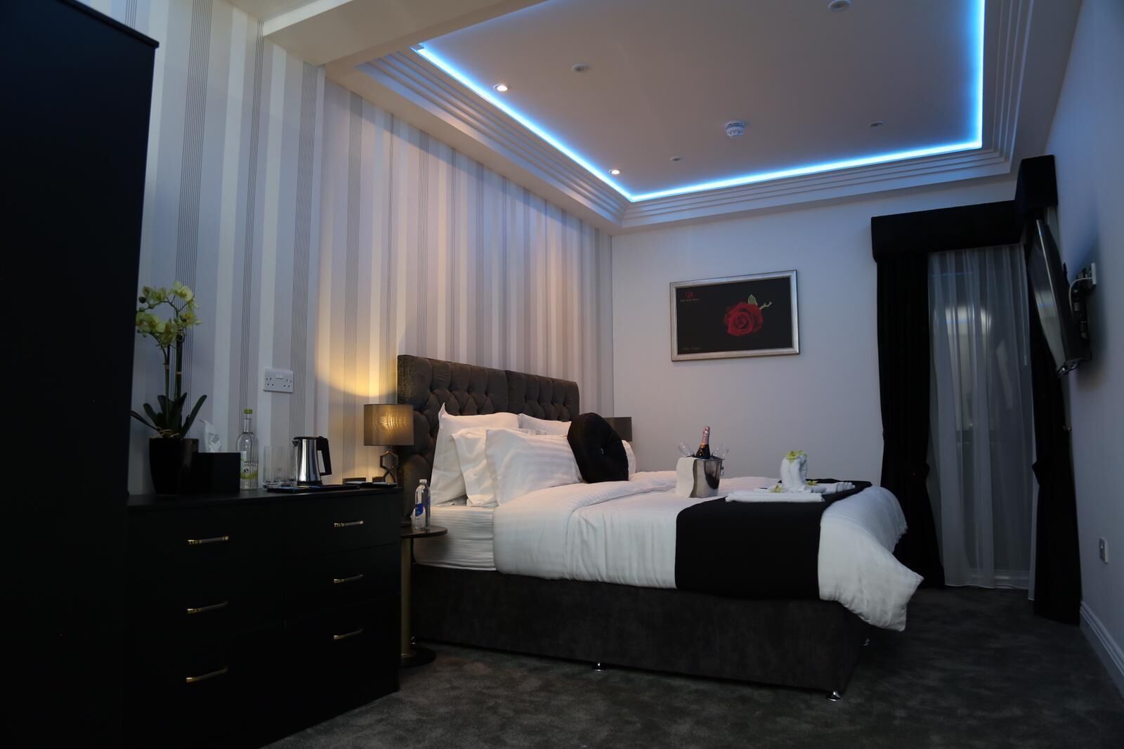 A modern hotel room with a large bed, a bedside table with a lamp, a potted plant, and a framed picture on the wall.