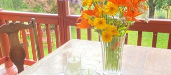 Cozy and Cute cottage with yard 10 minutes from Nelson