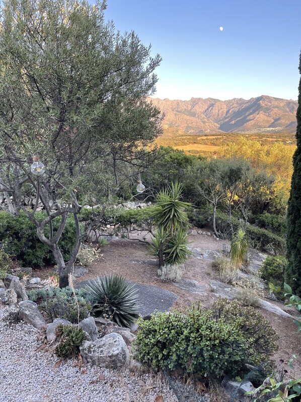 Property grounds - Villa with panoramic view of the Gulf of Calvi (Lumio)