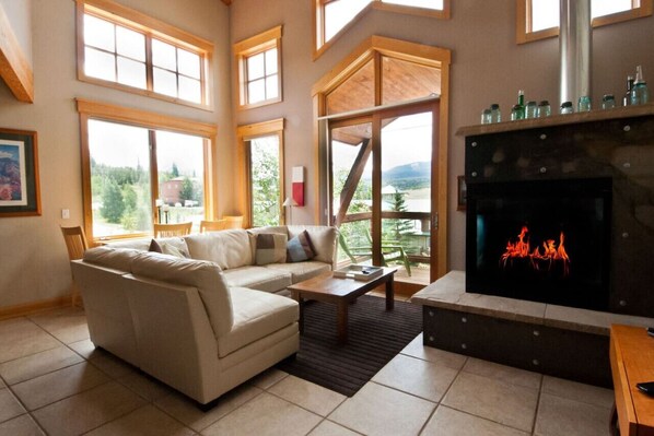 Televisión, chimenea y reproductor de DVD 